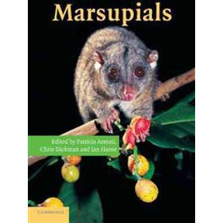Marsupials