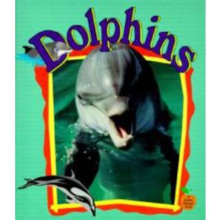 Dolphins