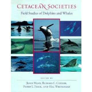 Cetacean Societies