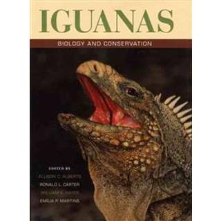Iguanas