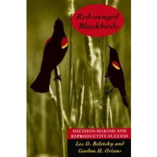 Red-winged Blackbirds