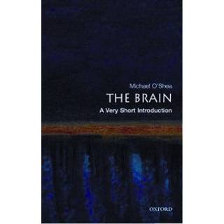 The Brain