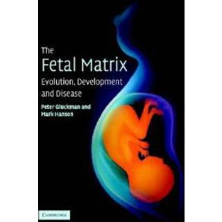 The Fetal Matrix: Evolution, Development and Disease