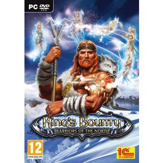King's Bounty: Warriors of the North - Ice and Fire Steam Key GLOBAL
