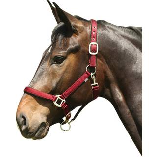 HorseGuard Lea grime - X-Full / Rød