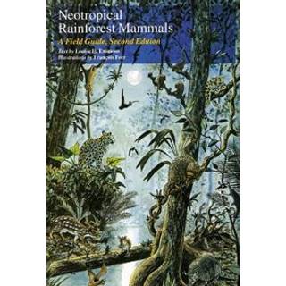 Neotropical Rainforest Mammals