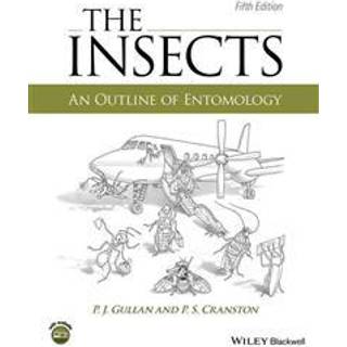 The Insects