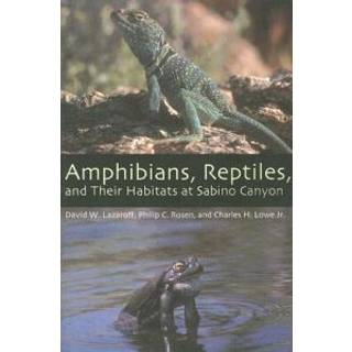 Amphibians, Reptiles, and Their Habitats at Sabino Canyon