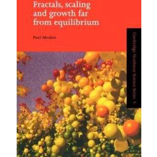 Fractals, Scaling and Growth Far from Equilibrium
