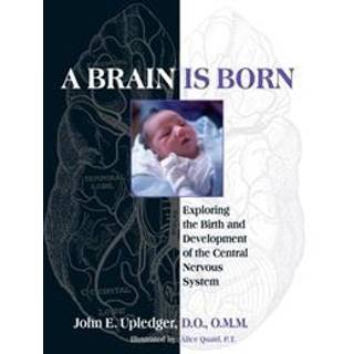A Brain Is Born