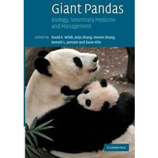 Giant Pandas