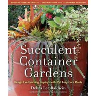 Succulent Container Gardens