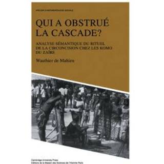 Qui a obstrue la cascade?