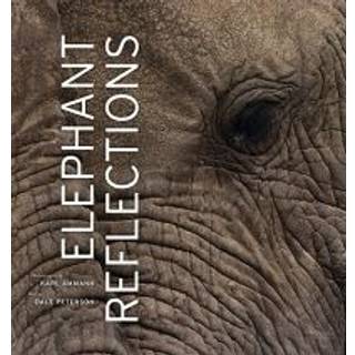 Elephant Reflections