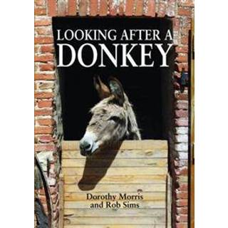Looking After a Donkey