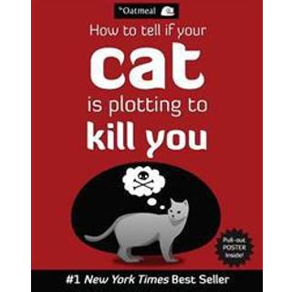 How to Tell If Your Cat Is Plotting to Kill You
