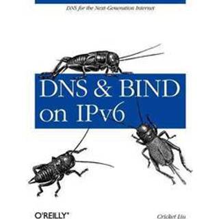 DNS and BIND on IPv6