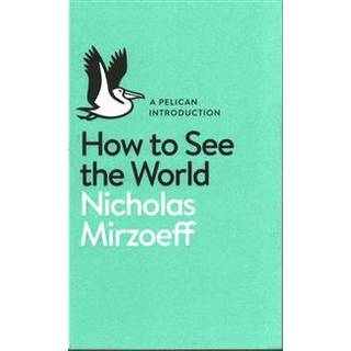How to See the World