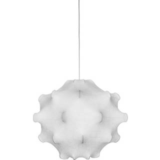 Flos Taraxacum 1