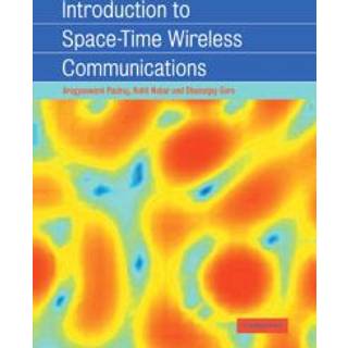 Introduction to Space-Time Wireless Communications