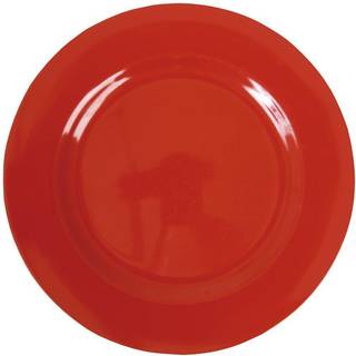 Rice Melamine Dinner Plate - Autumn and Acorns Print