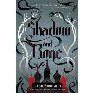 The Shadow and Bone