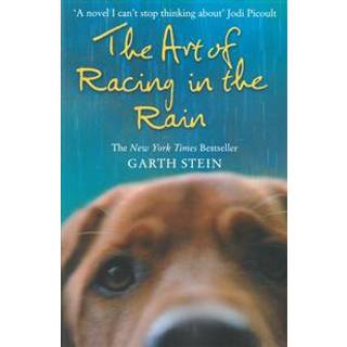 The Art of Racing in the Rain