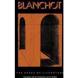 The Space of Literature