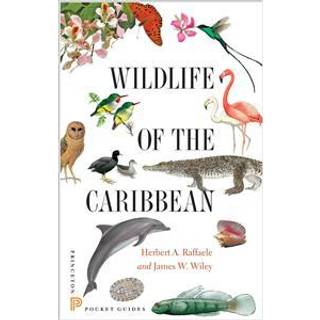 Wildlife of the Caribbean