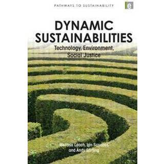 Dynamic Sustainabilities