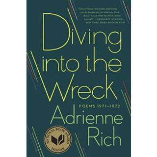 Diving into the Wreck