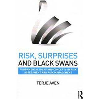 Risk, Surprises and Black Swans