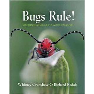 Bugs Rule!