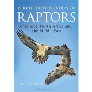 Flight Identification of Raptors of Europe, North Africa and the Middle East