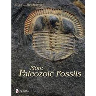 More Paleozoic Fossils