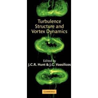 Turbulence Structure and Vortex Dynamics