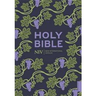 NIV Holy Bible (Hodder Classics)