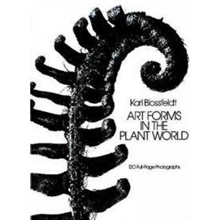 Art Forms in the Plant World