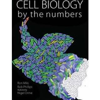 Cell Biology by the Numbers