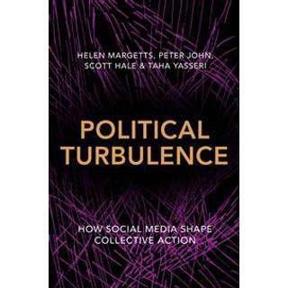 Political Turbulence