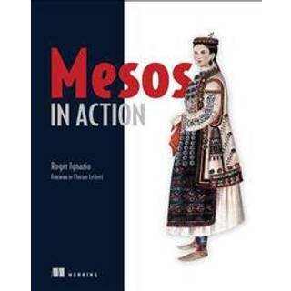 Mesos in Action