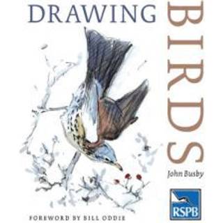 Drawing Birds