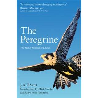 The Peregrine