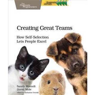 Creating Great Teams