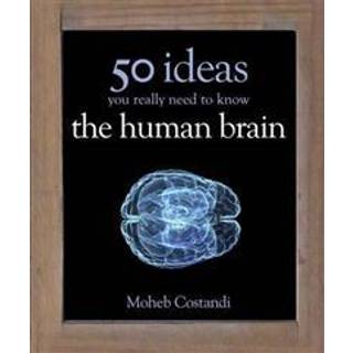 50 Human Brain Ideas You Really Need to Know