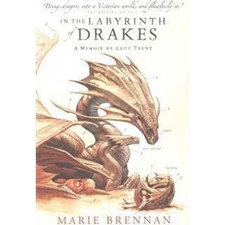 In the Labyrinth of Drakes