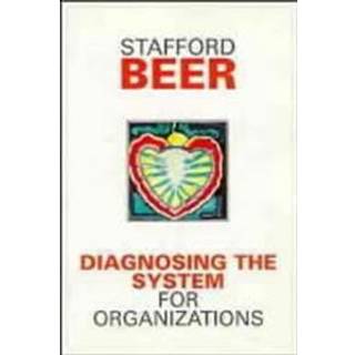 Diagnosing the System for Organizations