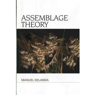 Assemblage Theory