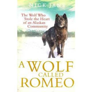 A Wolf Called Romeo