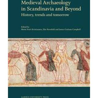 Medieval Archaeology in Scandinavia and Beyond